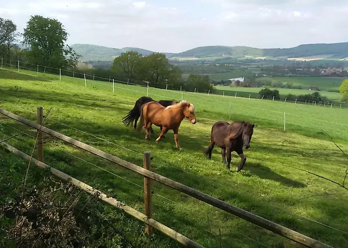 Hillhouse - Mit Sauna 度假居