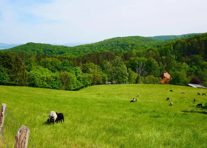 度假居 Hillhouse - Mit Sauna